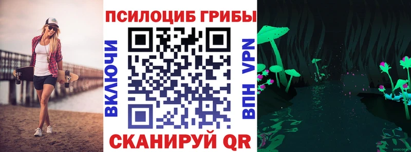 Псилоцибиновые грибы Cubensis  купить  цена  Белово 